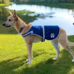 Assegai's Zimbabwe paw print vest