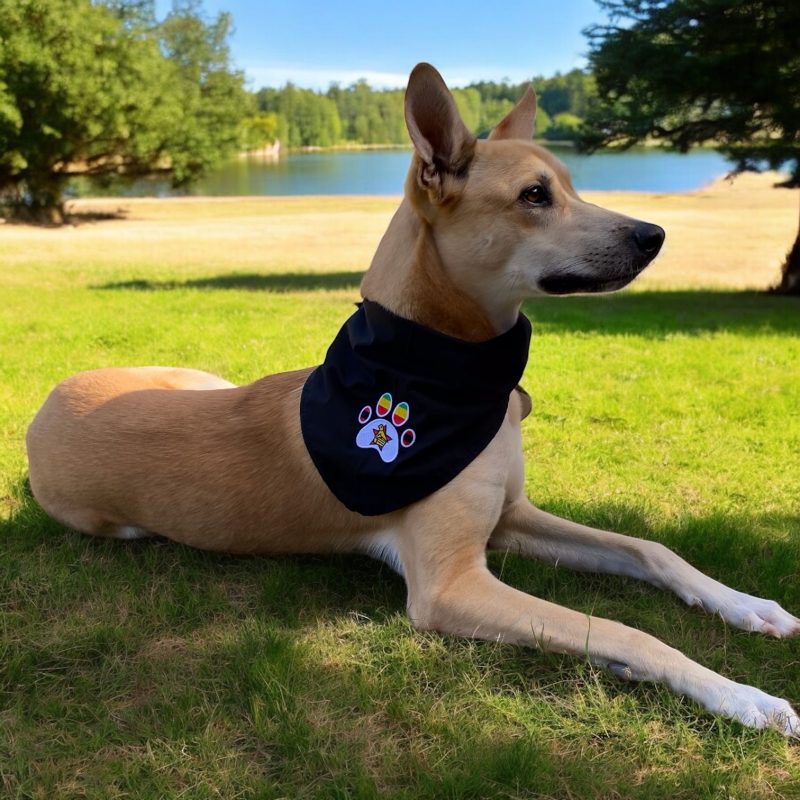 Assegai's Zimbabwe paw print bandana