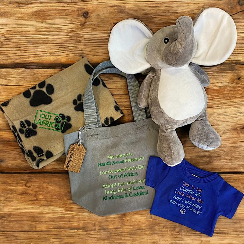 RB Nandi Ele adoption set