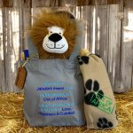 Assegai's adopt a teddy lion set